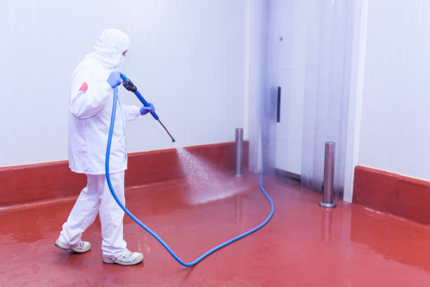 Best Rust Removal  in Snellville, GA